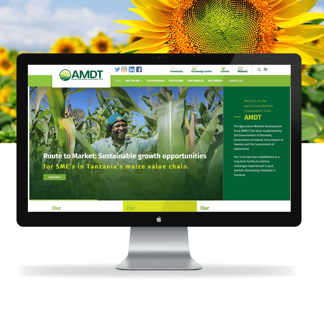 Website Hosting And Design Top Software Development And The Best IT 